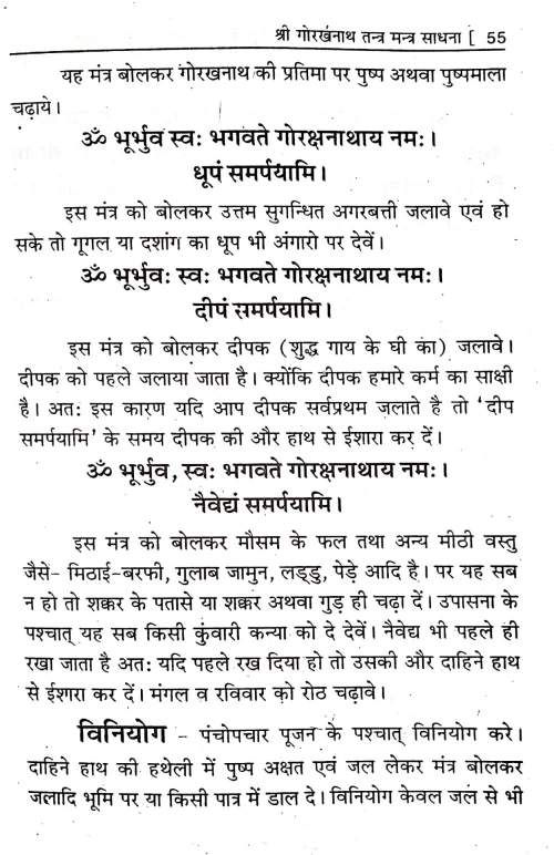 Shri Gorakhnath Tantra Mantra Sadhana